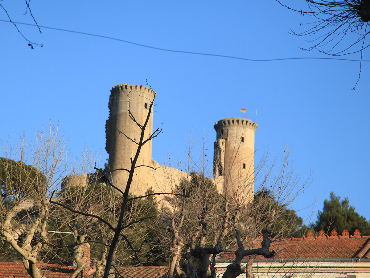 Les tours du château - photo : Rhinoferos